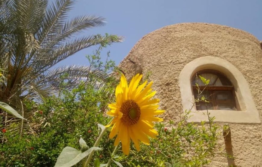 Depuis le Caire pour découvrir l’oasis du Fayoum et Minya 5 jours / 4 nuits