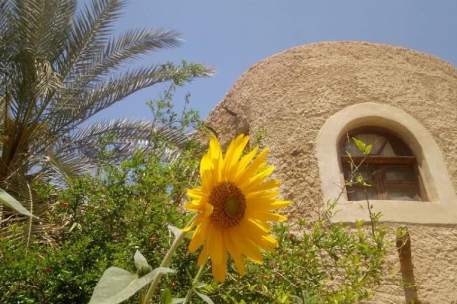 Depuis le Caire pour découvrir l&rsquo;oasis du Fayoum et Minya 5 jours / 4 nuits