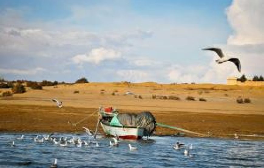 Depuis le Caire pour visiter la région du Fayoum 3 jours / 2 nuits