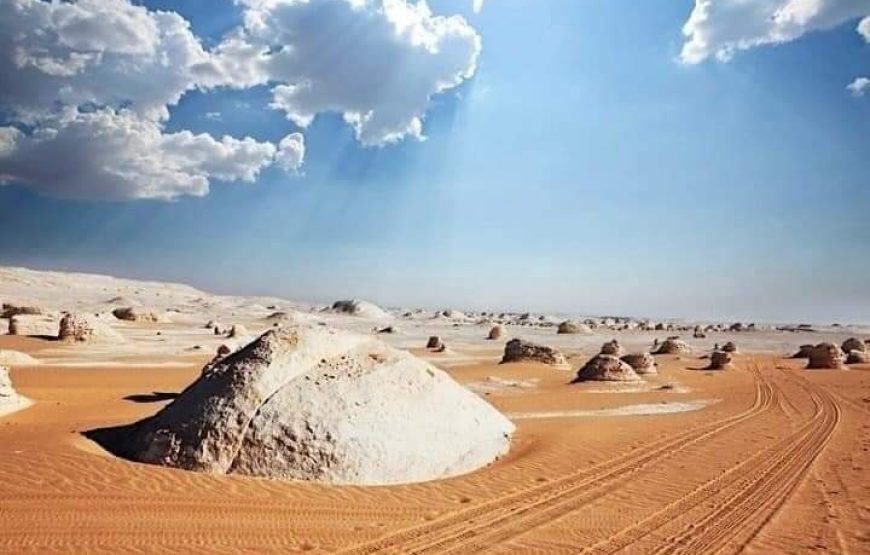 Depuis le Caire vers le desert blanc 2 jours /1 nuit